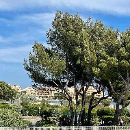 My Little Provence Les Mimosas