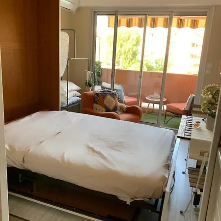 My Little Provence Les Mimosas *